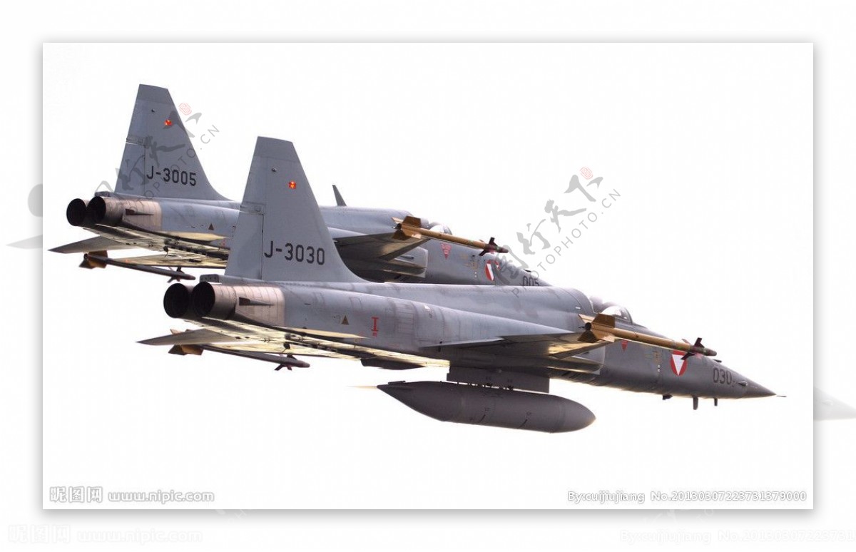 F5虎鲨战斗机图片