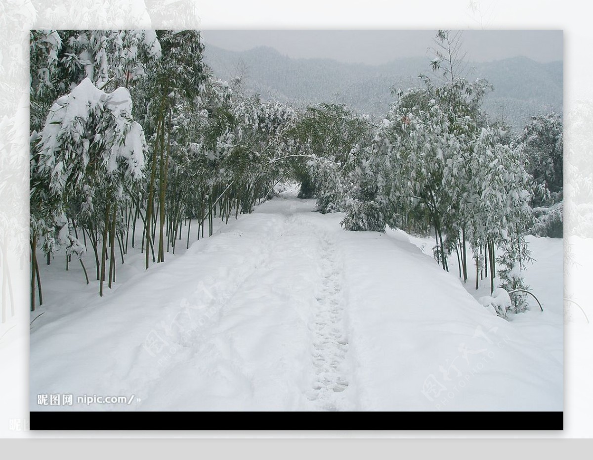 2008年南方大雪灾风情图片