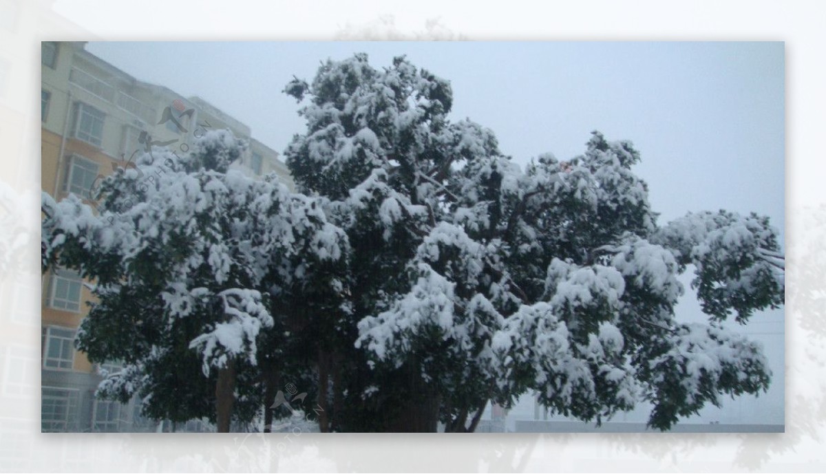 雪天景色图片