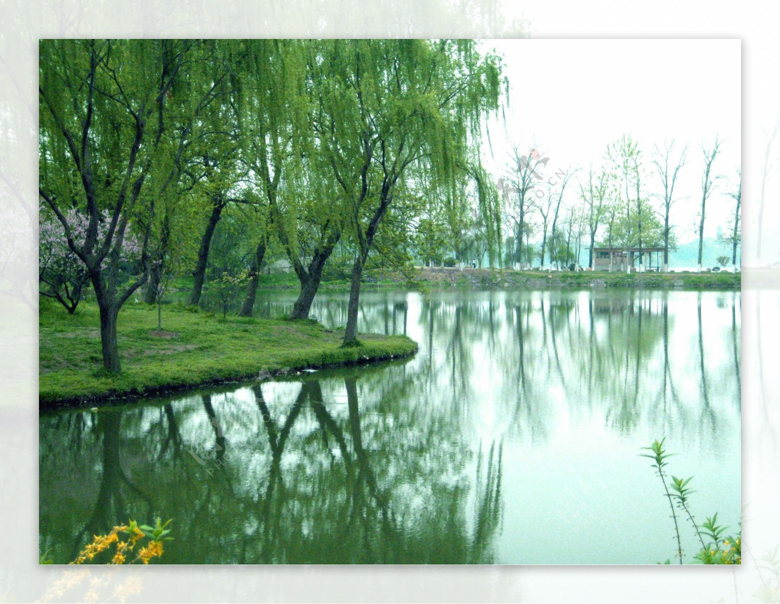 南京玄武湖风景图片