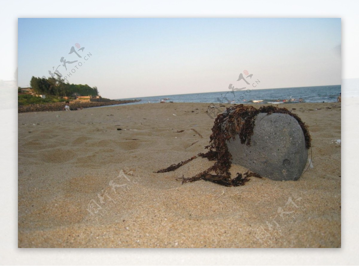 沙滩海石图片
