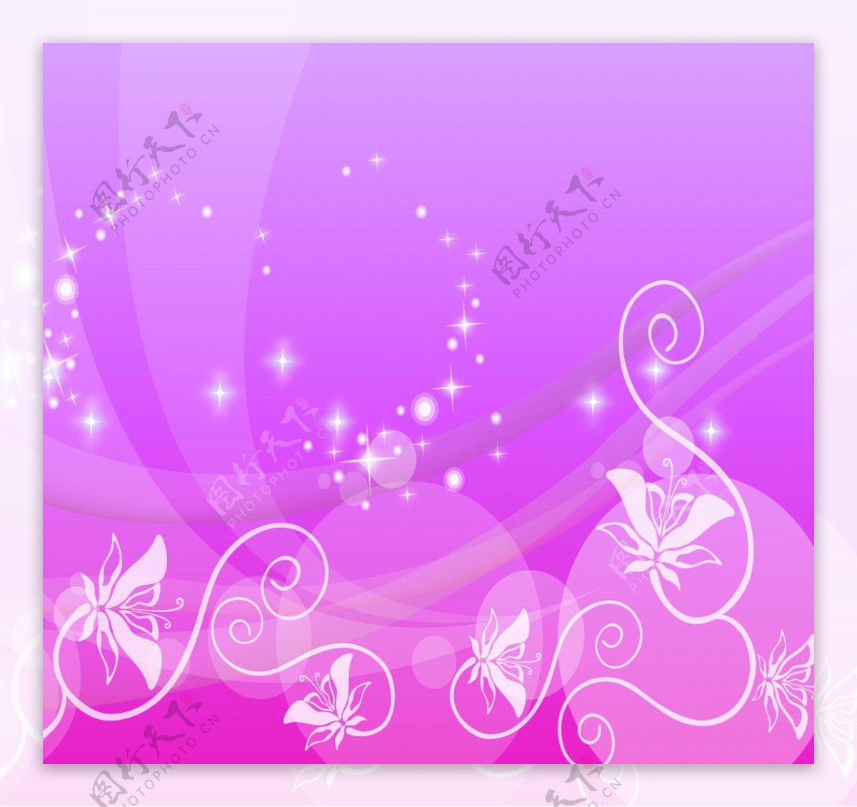 紫底白花图片