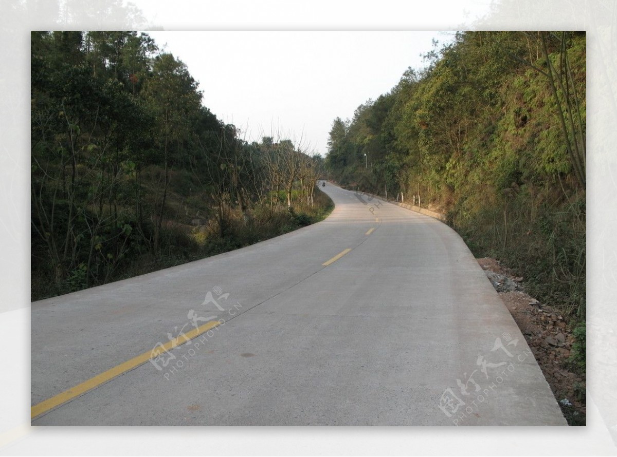 公路大山树图片