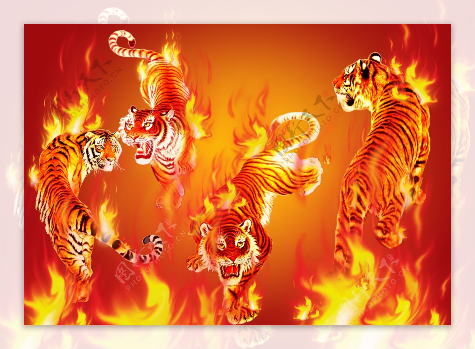 精美火焰老虎设计图片
