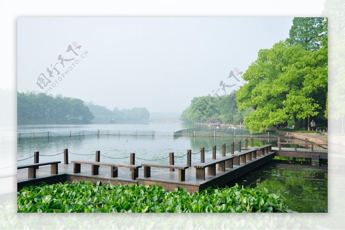 清晨中的杭州西湖图片