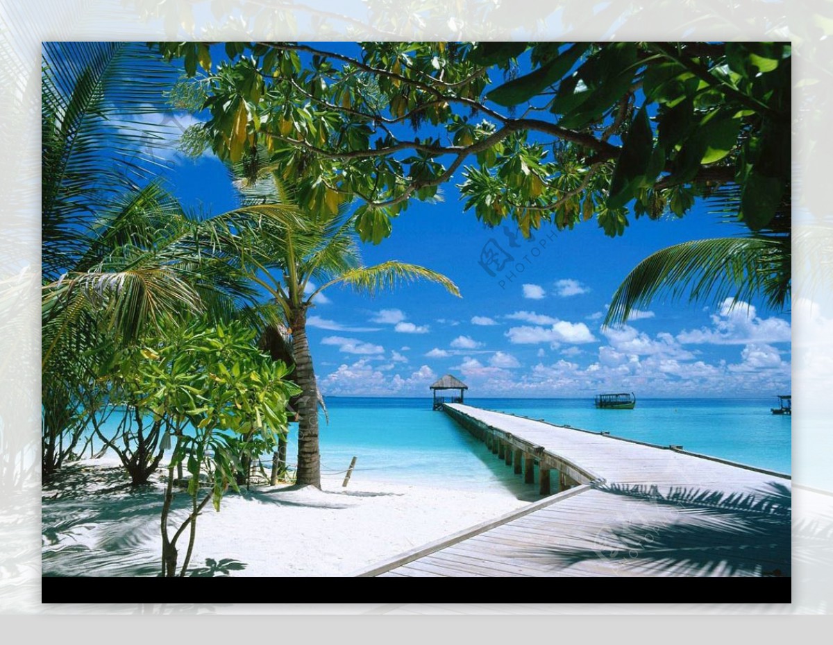 椰树小船沙滩大海图片