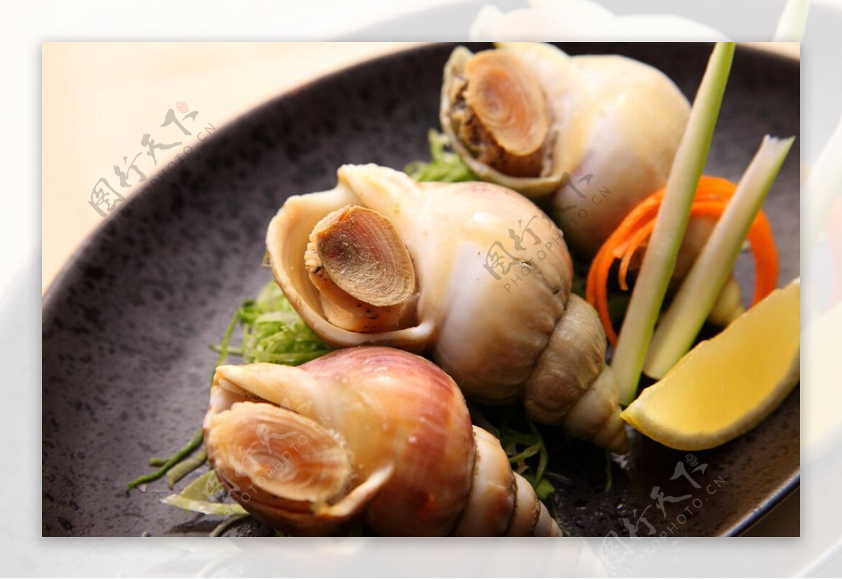 清蒸海螺怎么做_清蒸海螺的做法_豆果美食