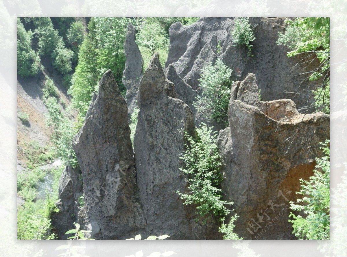 长白山大峡谷溶岩林图片