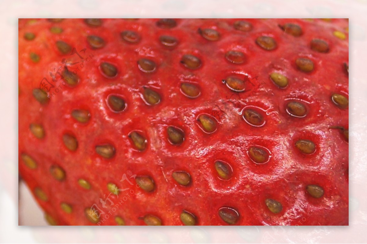 草莓局部图图片