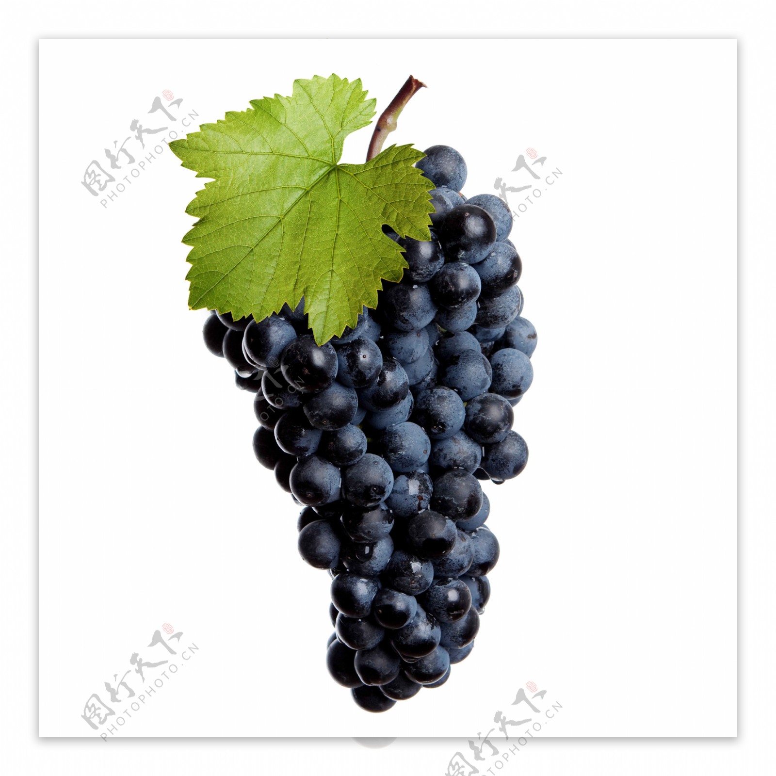 成熟葡萄高清图片