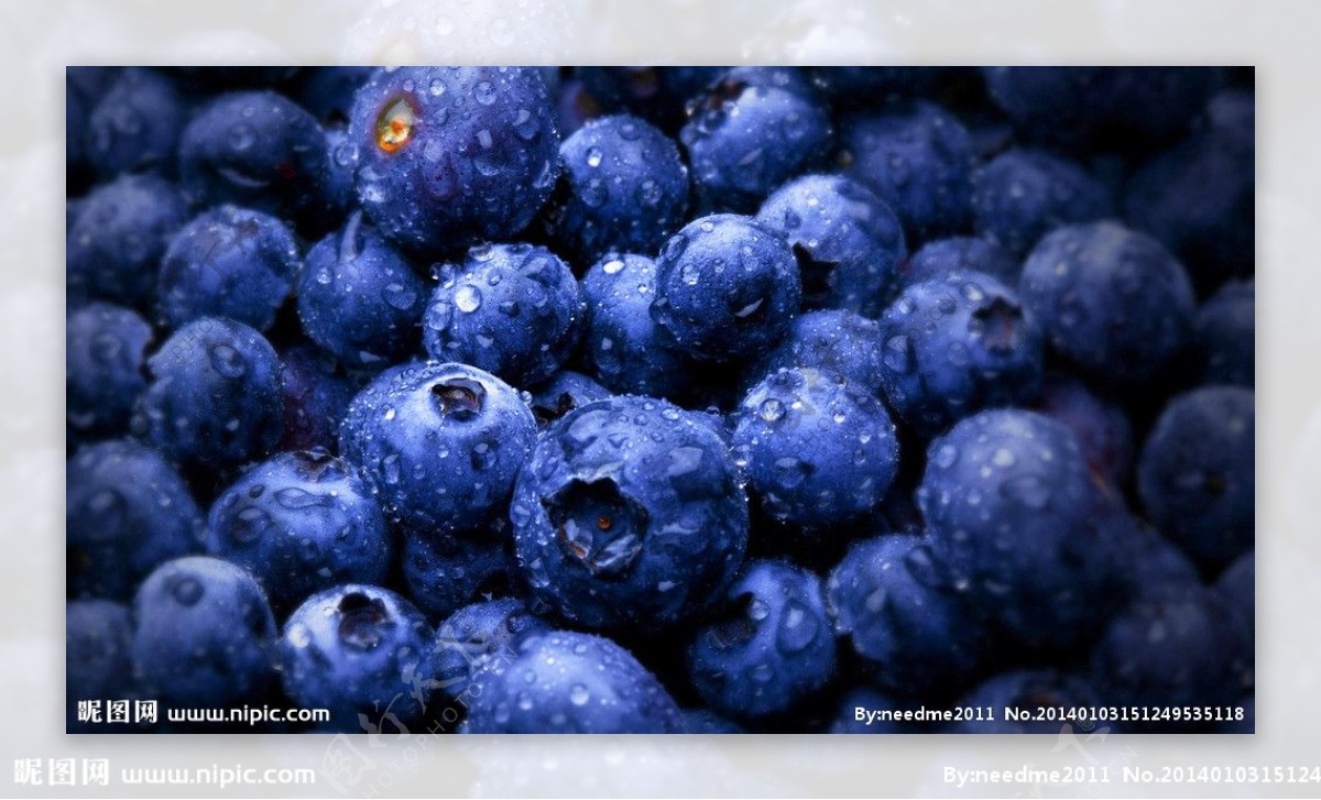 蓝莓非高清图片