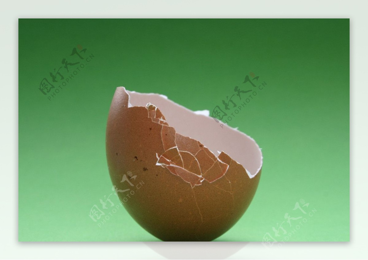 鸡蛋壳图片