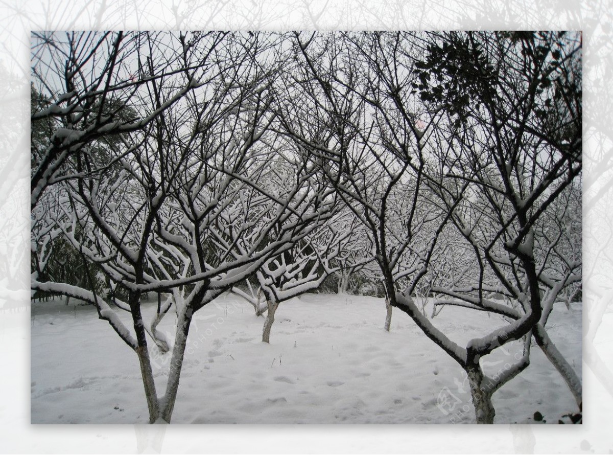湖州莲花庄雪景图片