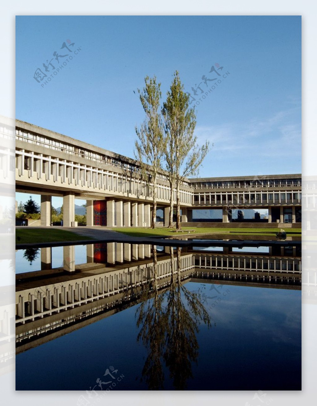 英格兰萨里大学学校后院图片