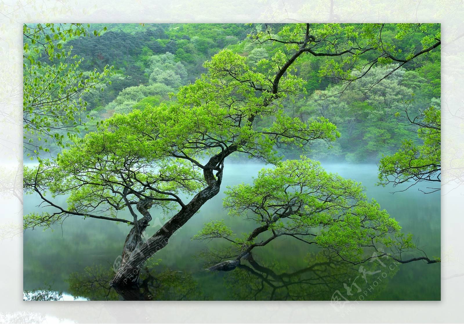 美丽湖面风景图片