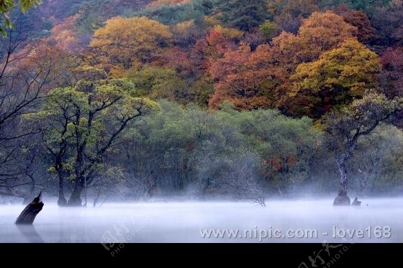 湖边色彩缤纷树林图片