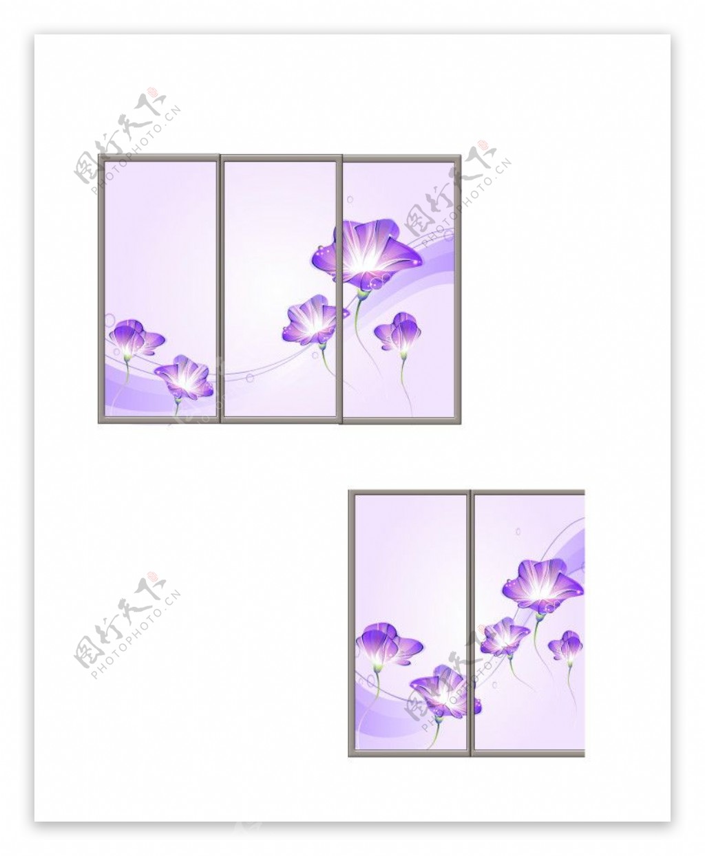 紫情花图片