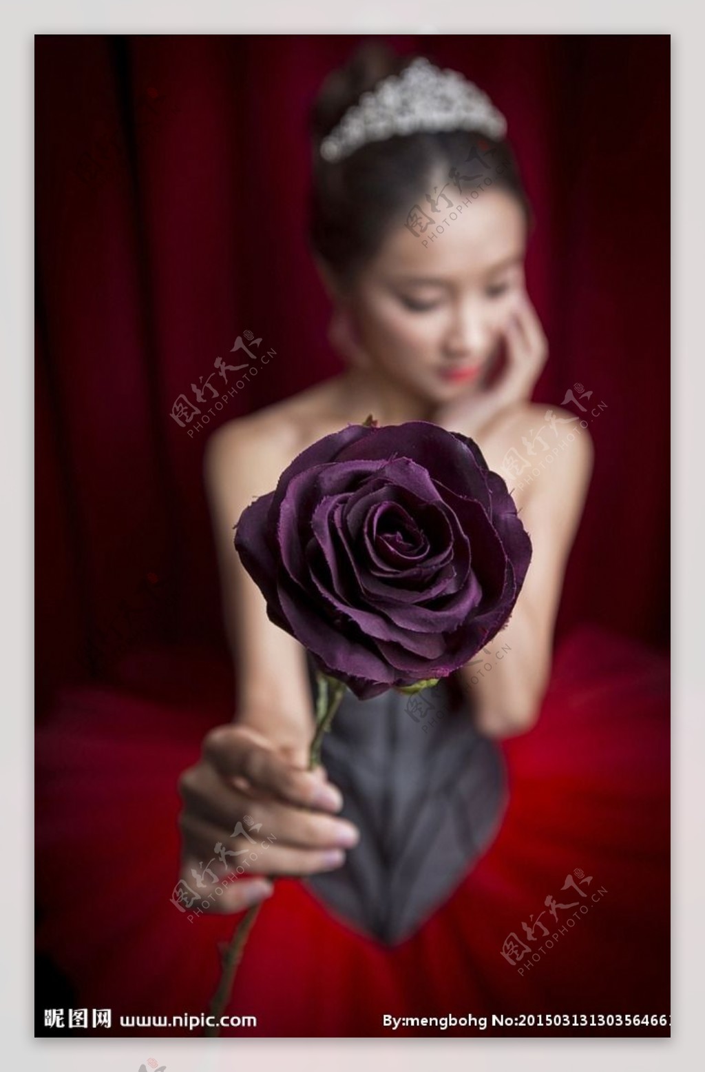 紫玫瑰图片,粉玫瑰图片,绿玫瑰图片_大山谷图库