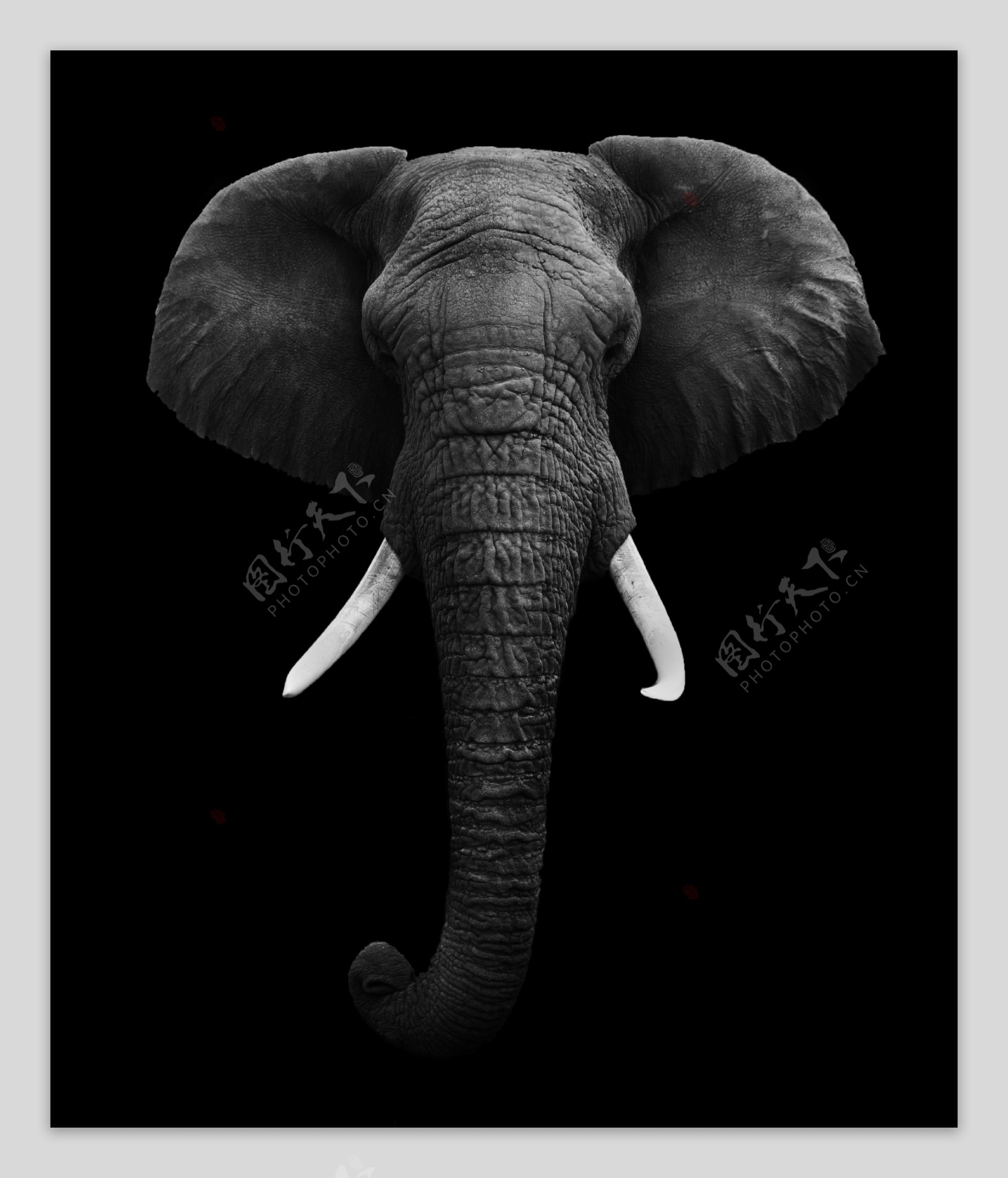 大象-3D打印模型下载-3D工场 3Dworks.cn