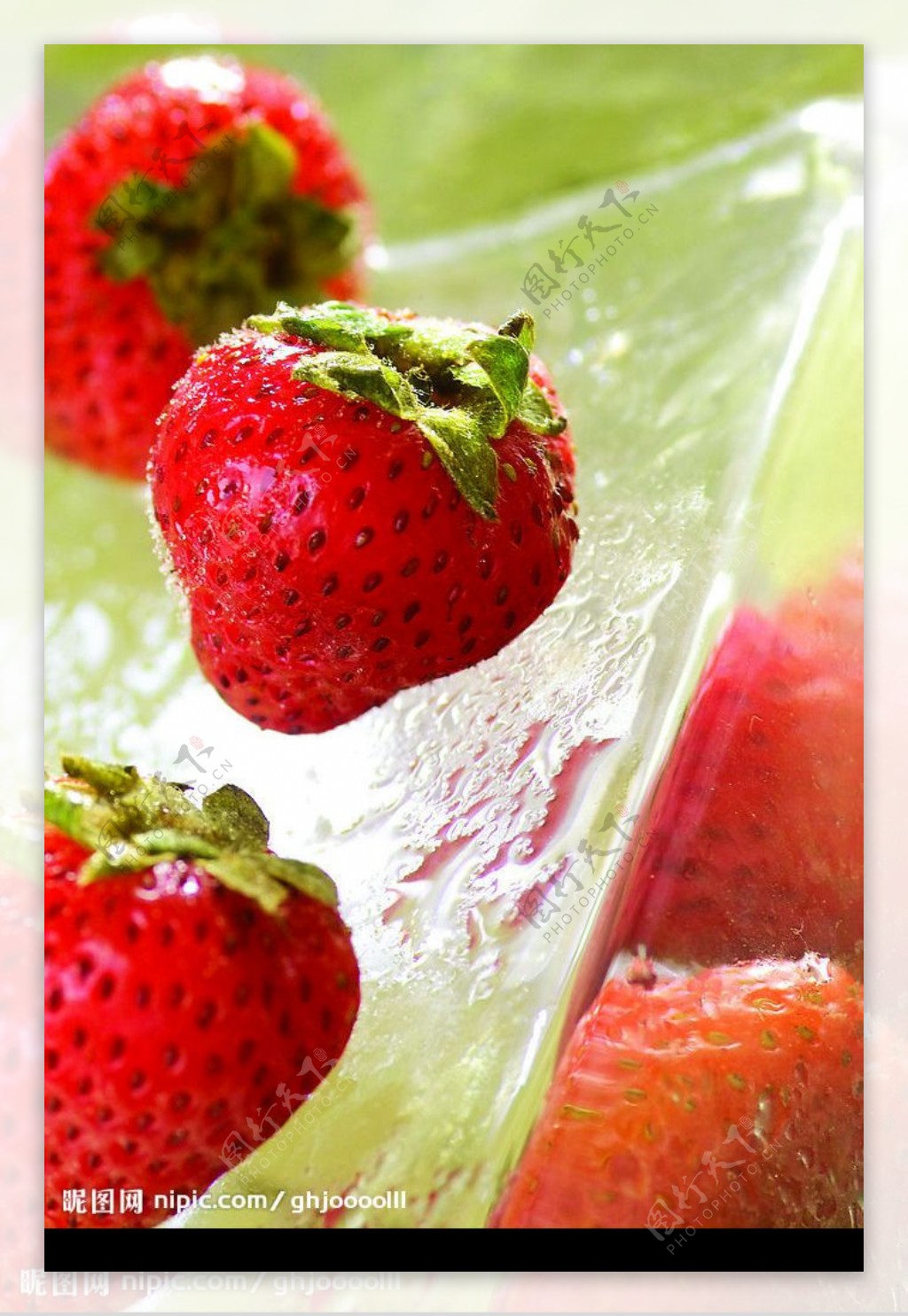 冰草莓图片