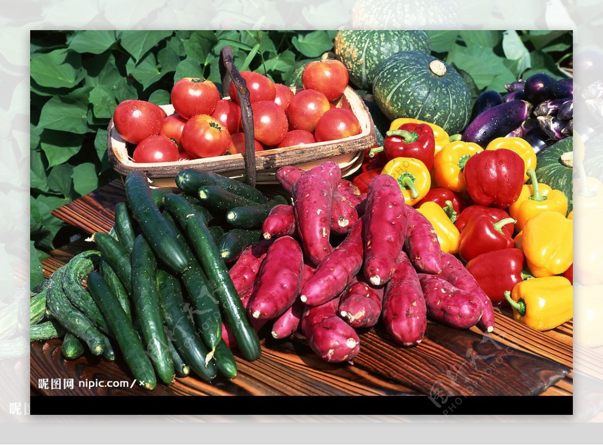 蔬菜系列图片