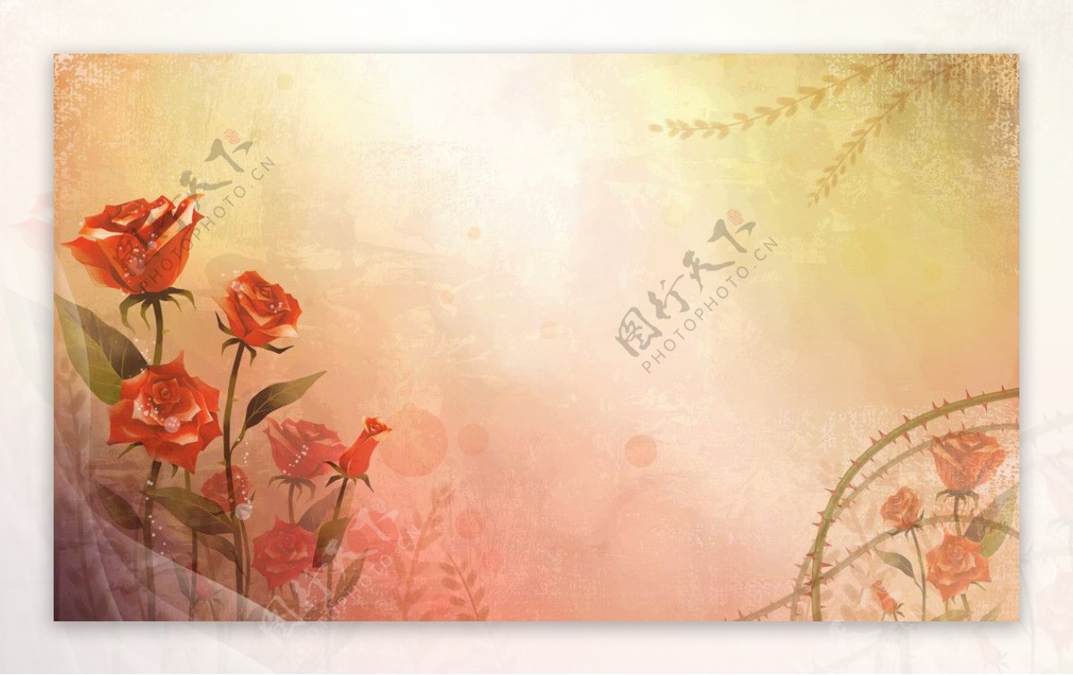 带刺玫瑰花花朵梦幻可爱植物背景图片