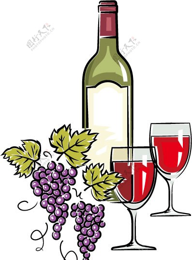 手绘红酒葡萄酒图片