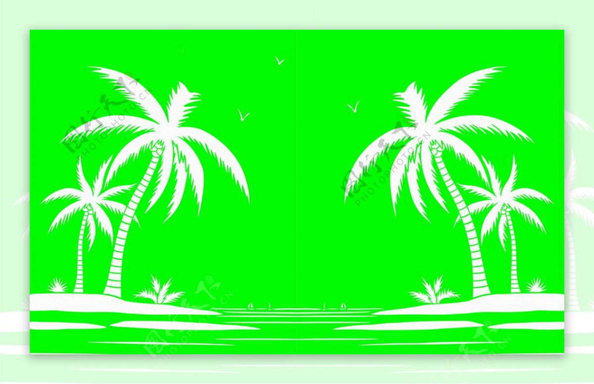 椰树矢量图图片