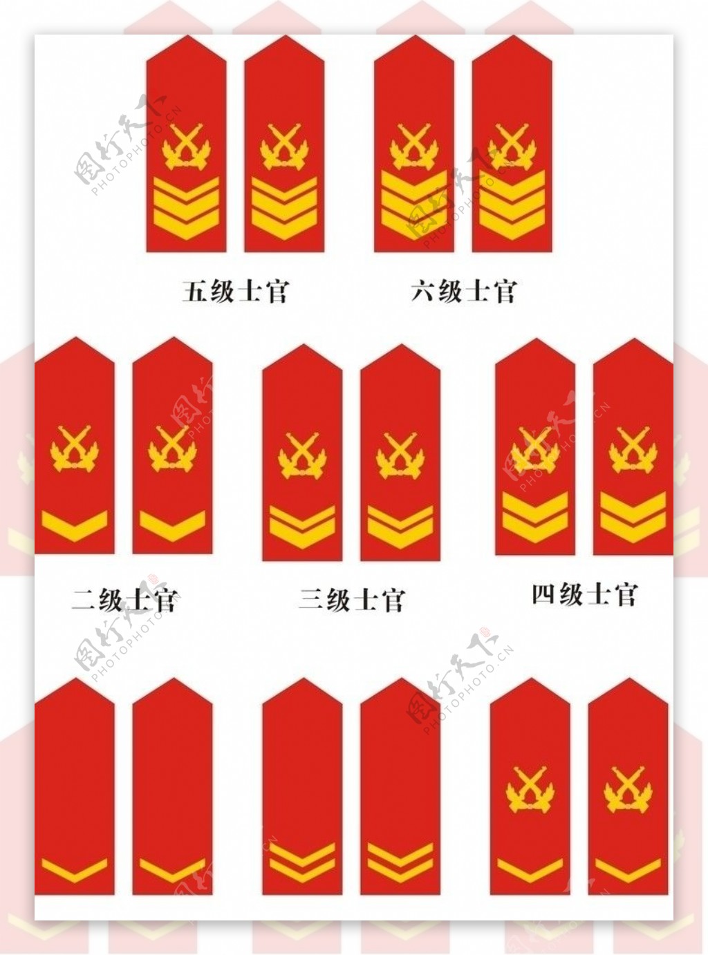 中国人民07陆军少校到上将常服肩章图片素材-编号13929777-图行天下