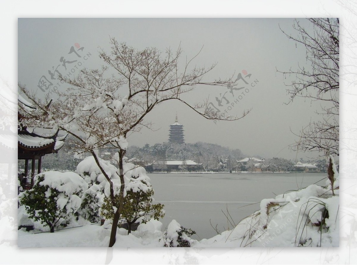 西湖雪景图片