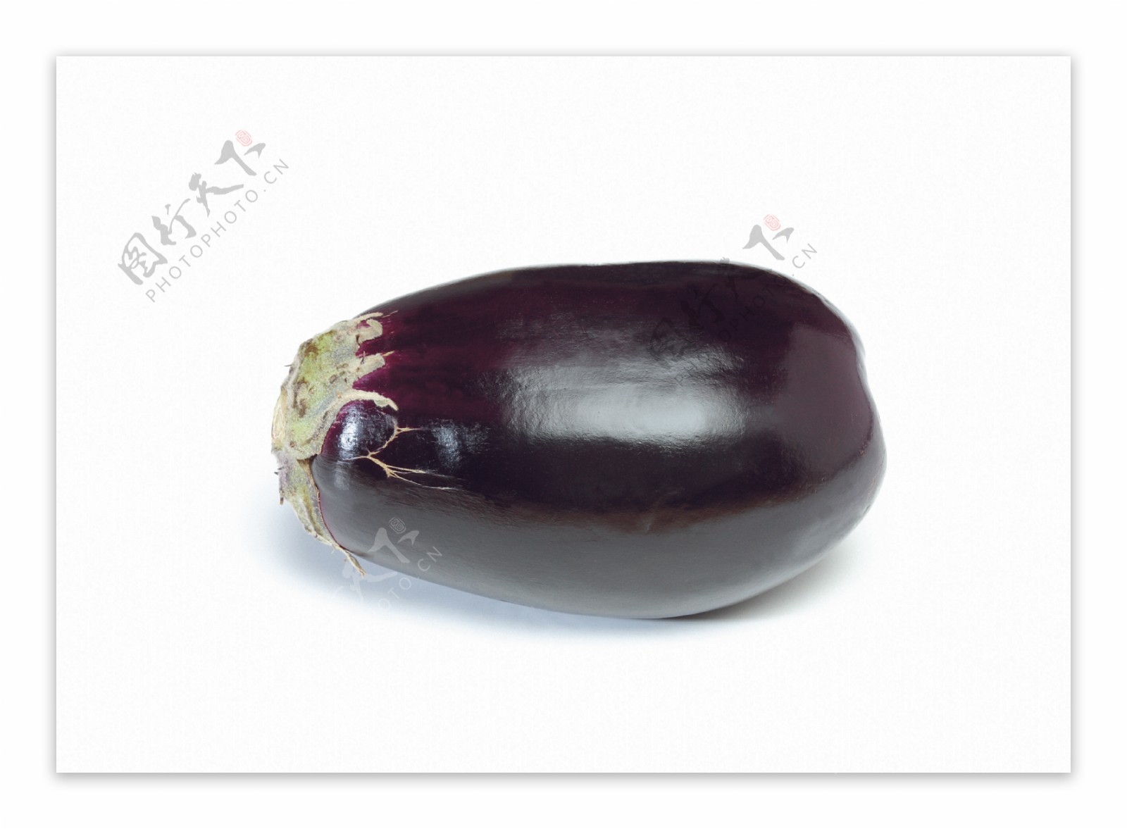 高画质新鲜单颗茄子图片