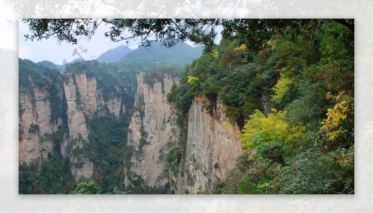 天子山07图片