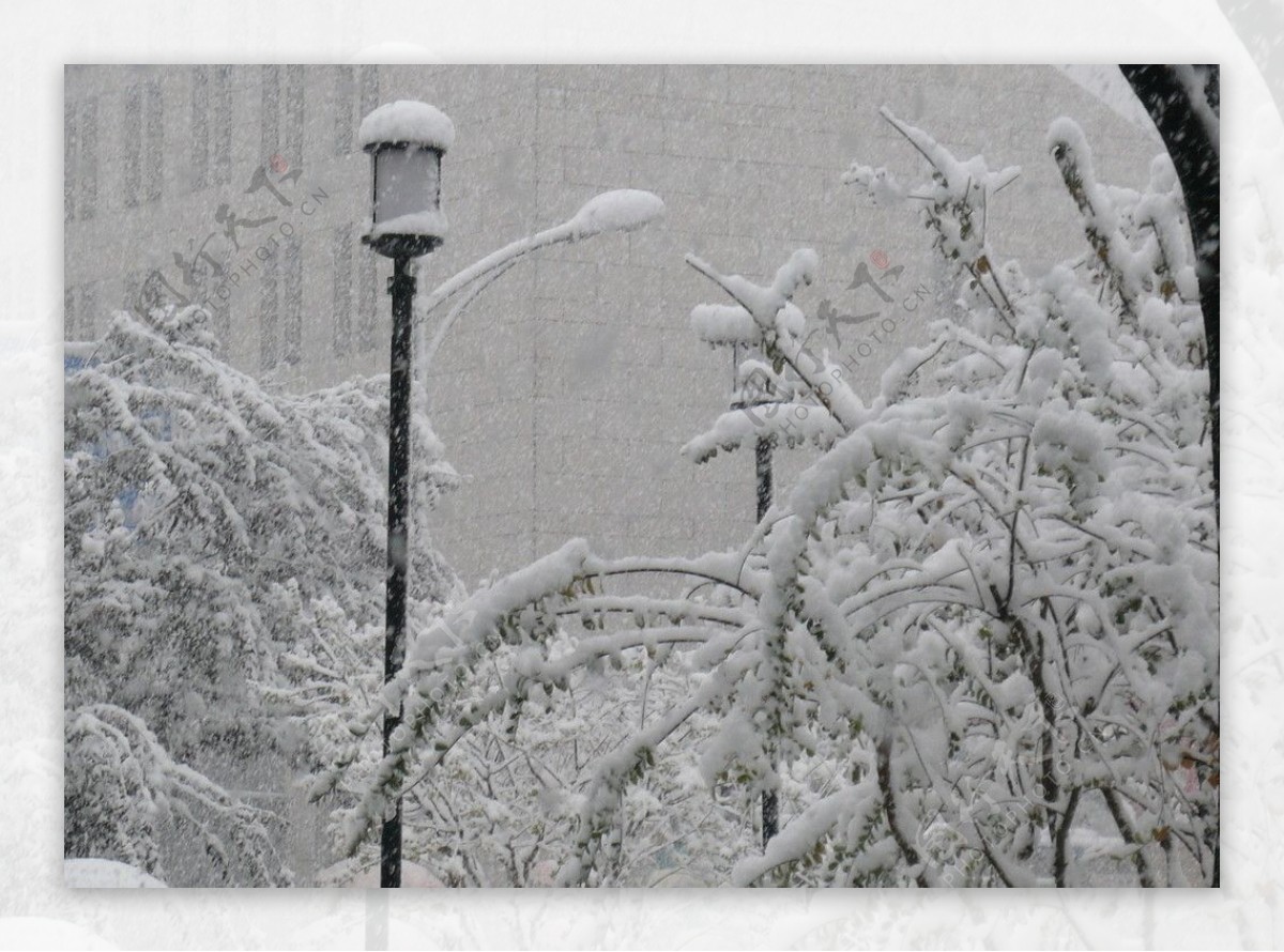 大雪图片