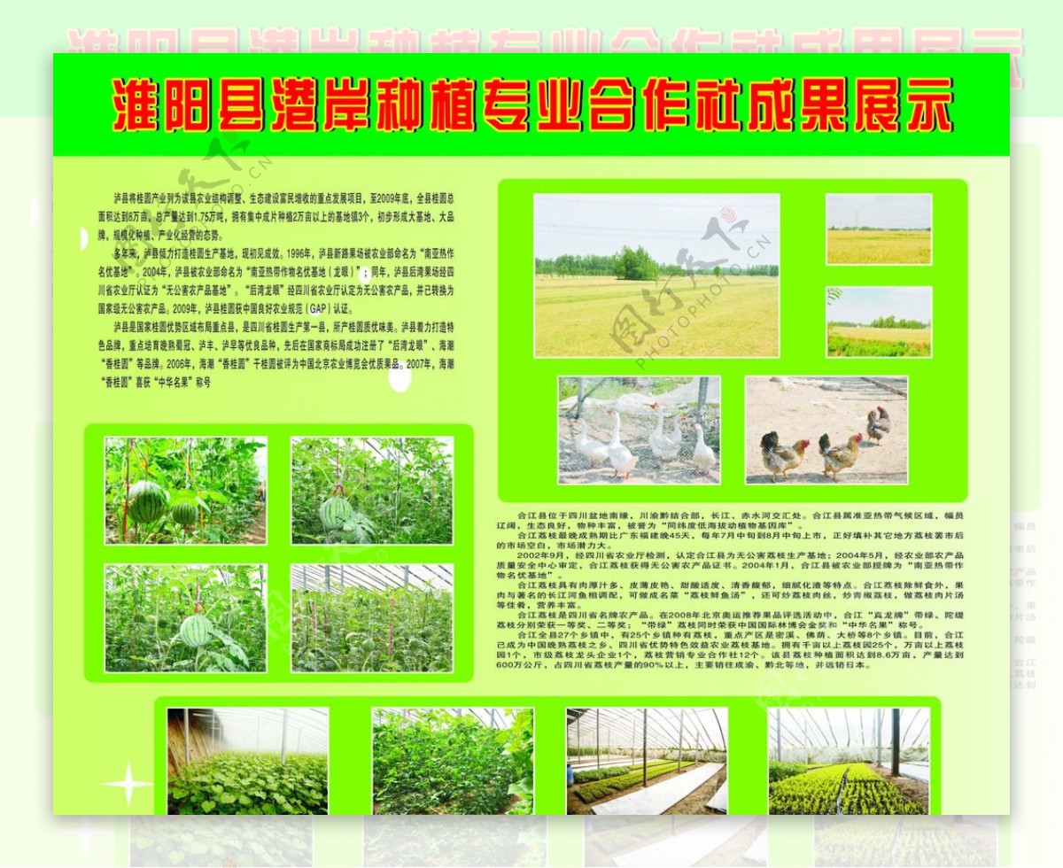 农业种植成果展示图片