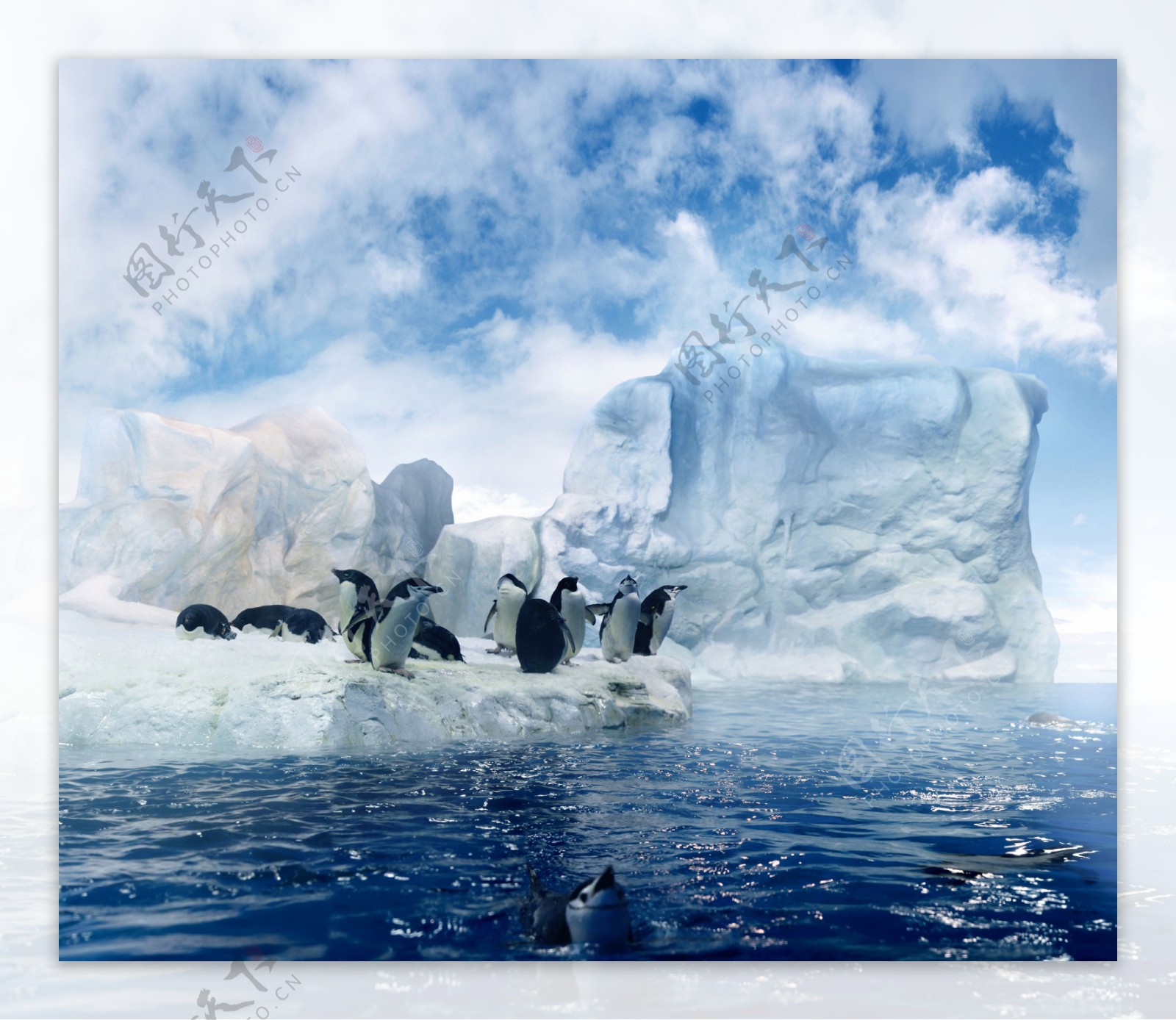南极冰川企鹅图片