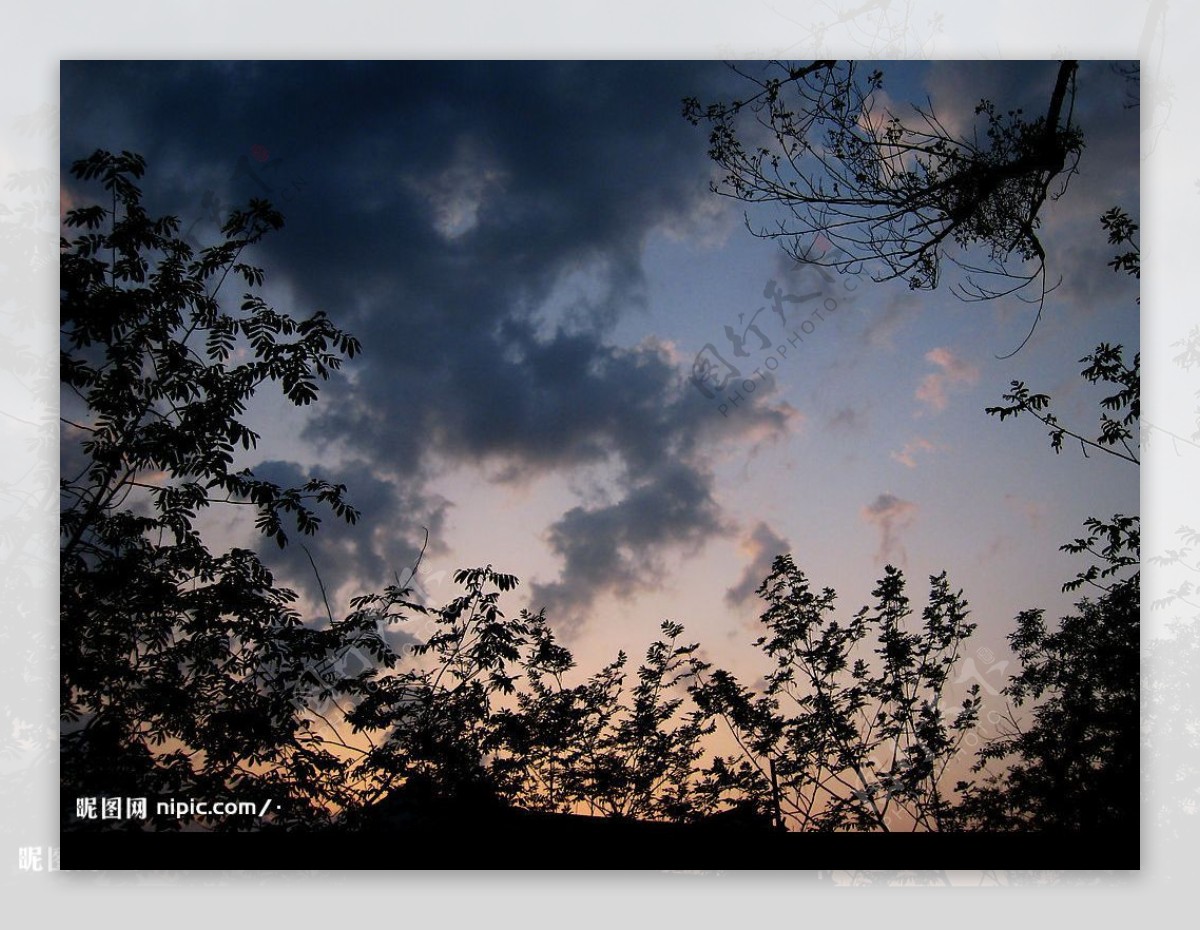 日落天空云霞光树叶图片