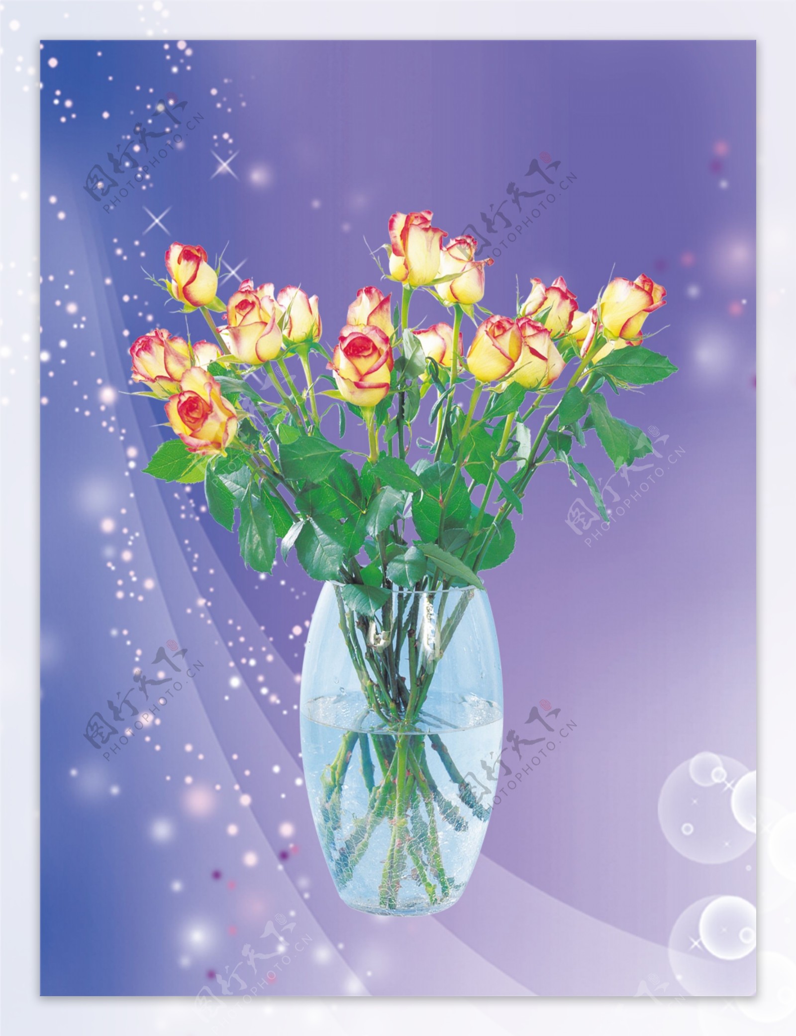 花瓶花卉浅色背景图片