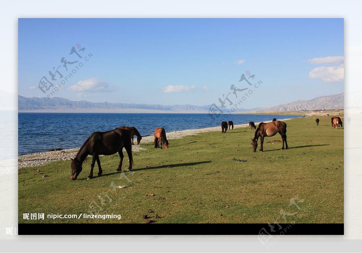 新疆的塞里木湖图片