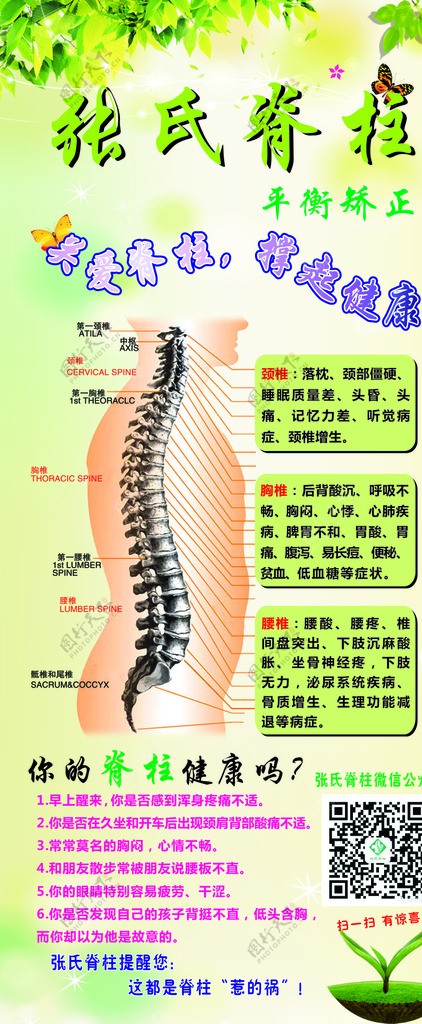 脊柱健康图片