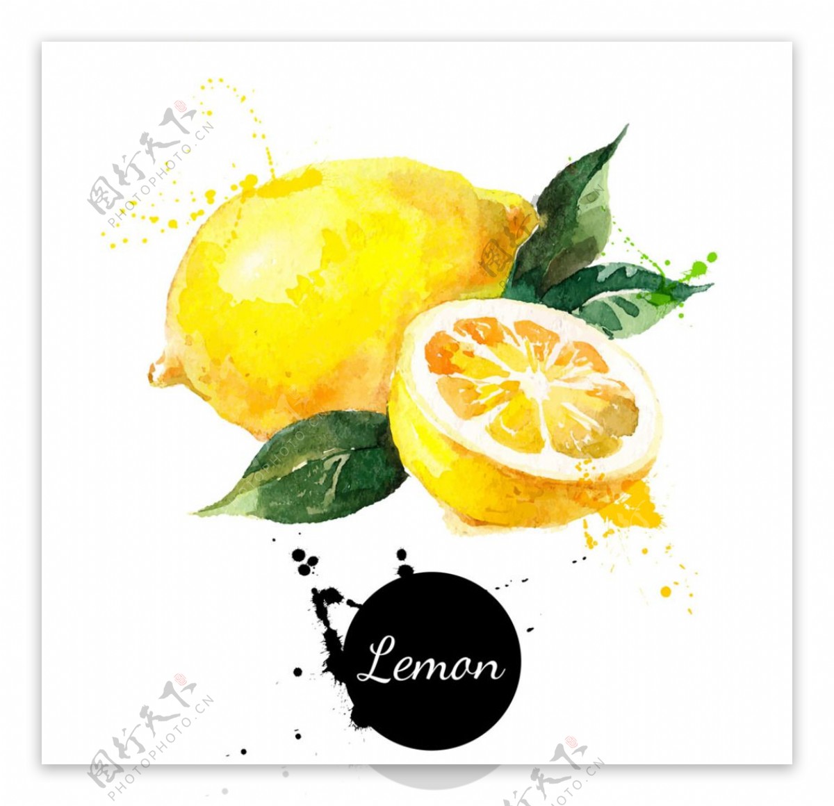 水彩画柠檬图片