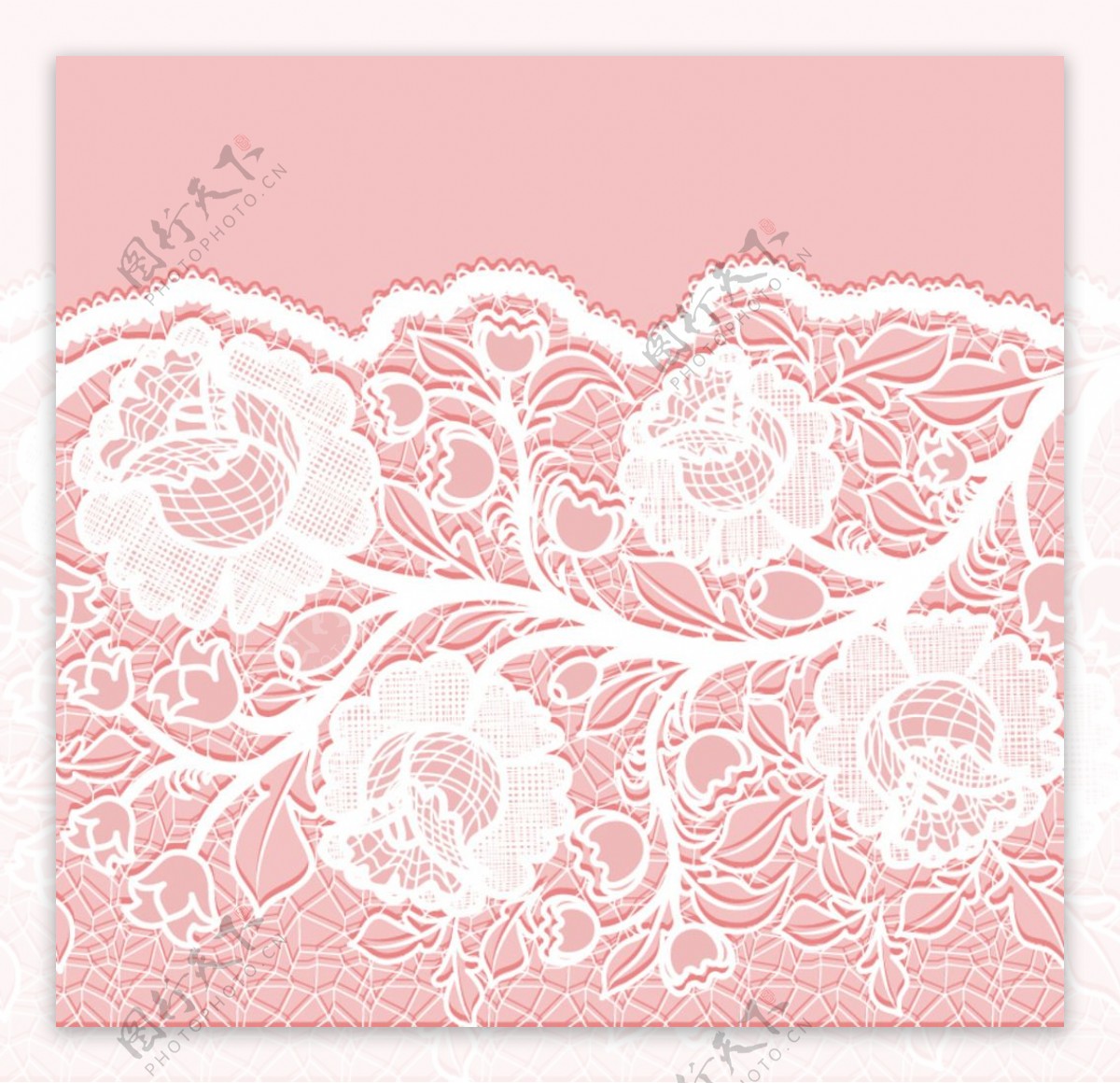 白色蕾丝花卉矢量素材图片