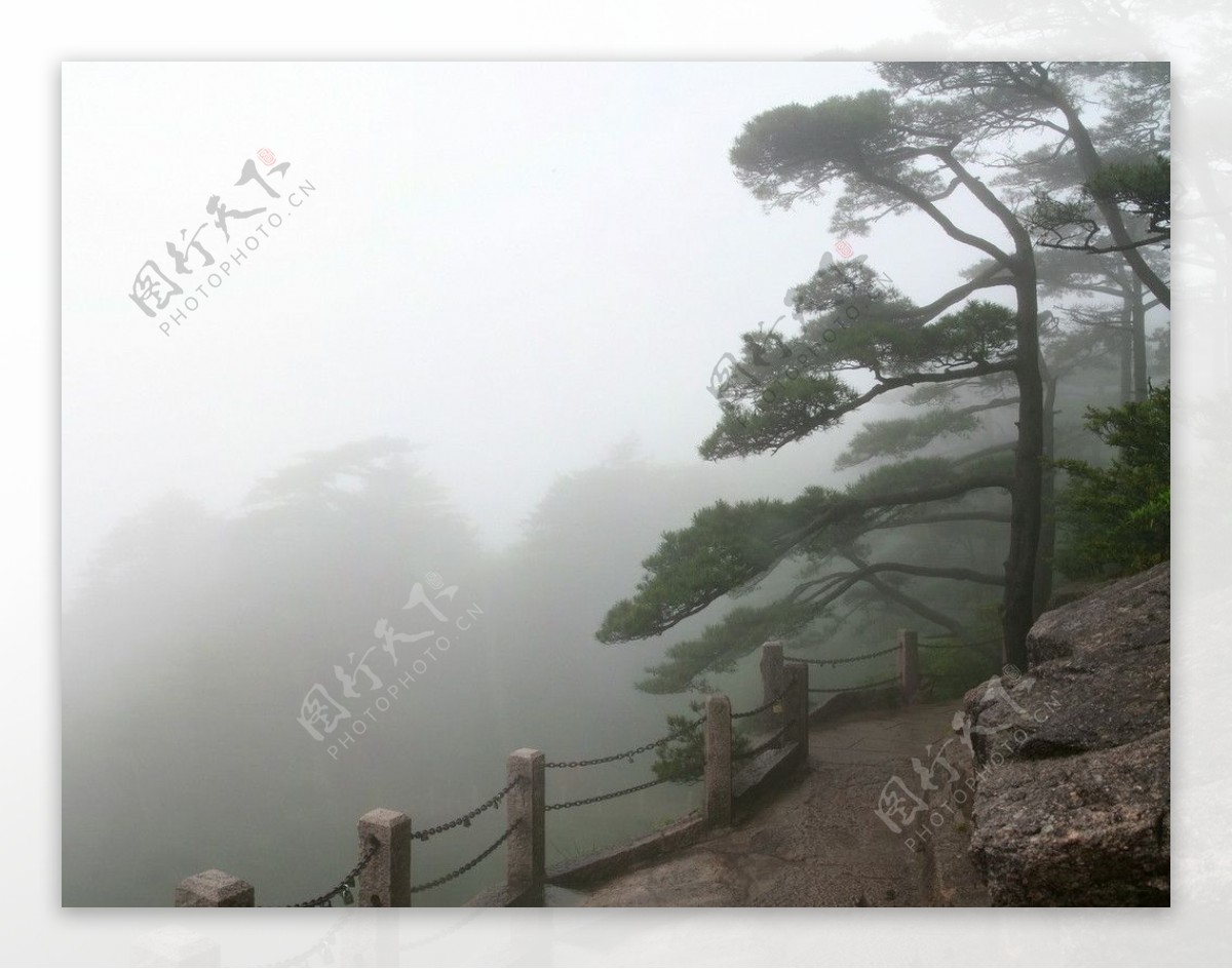 雨后黄山图片