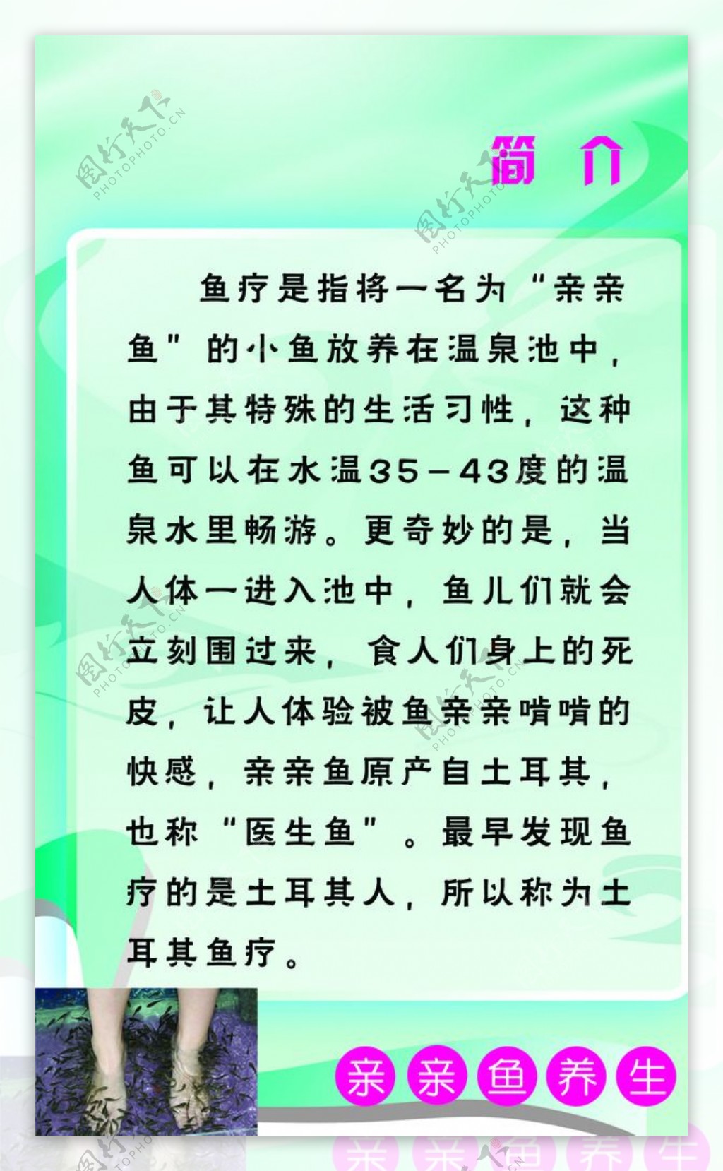 鱼疗馆简介图片