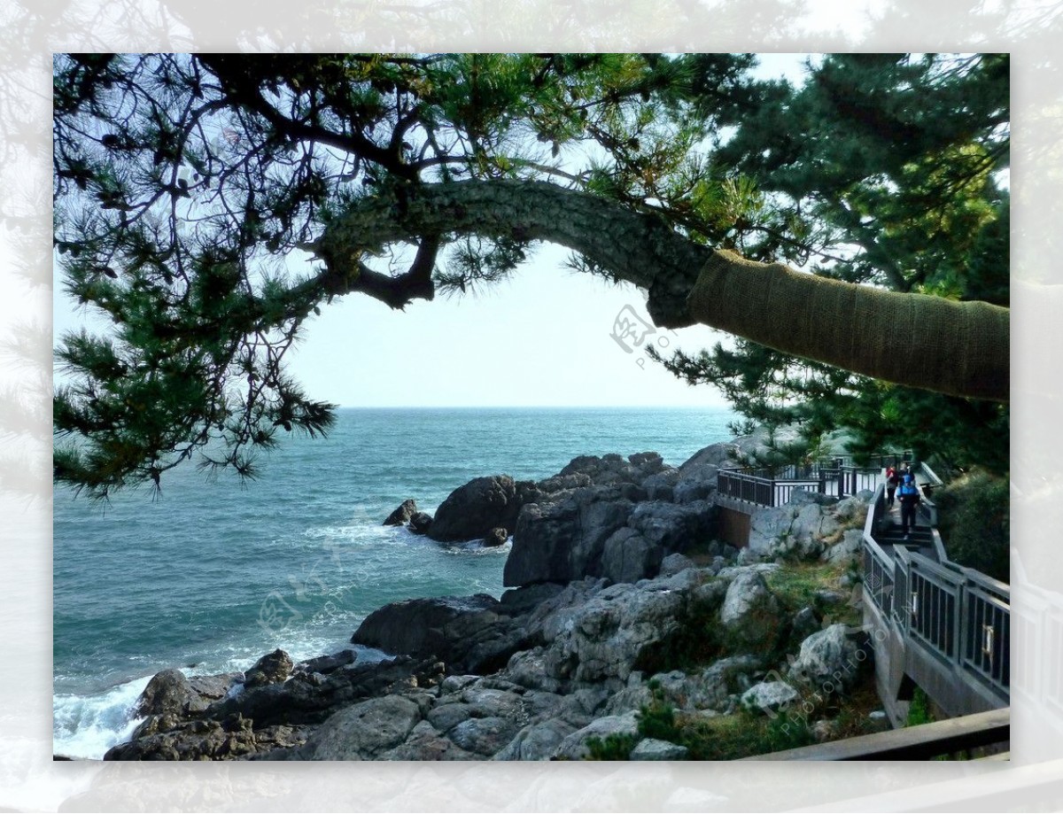 釜山海边景观图片