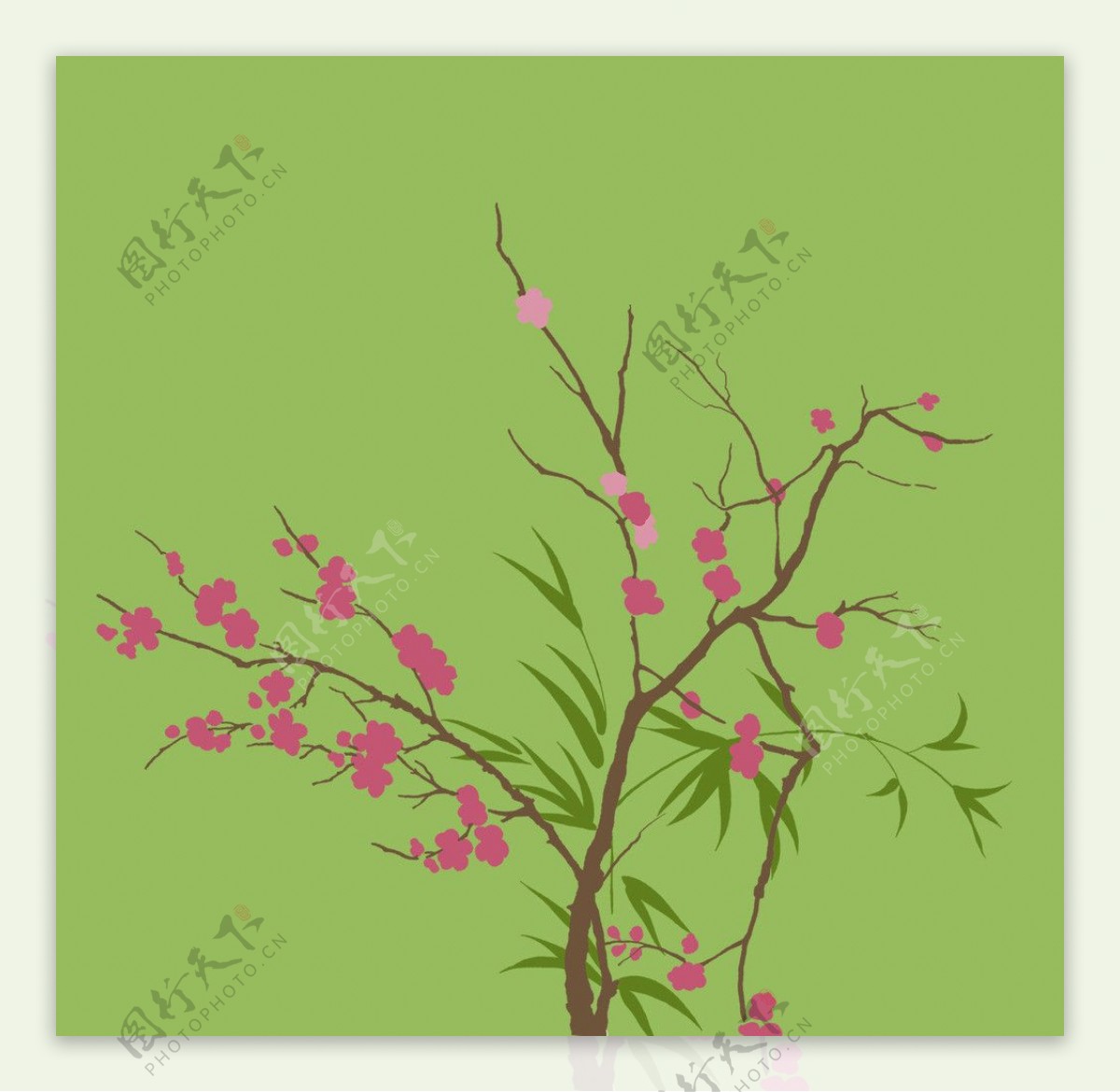 桃树花卉图片