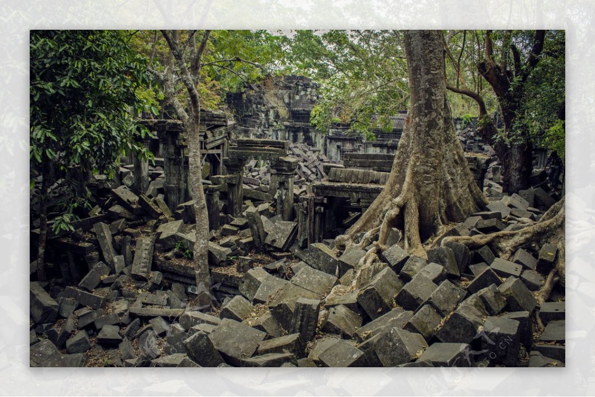 柬埔寨崩密列图片