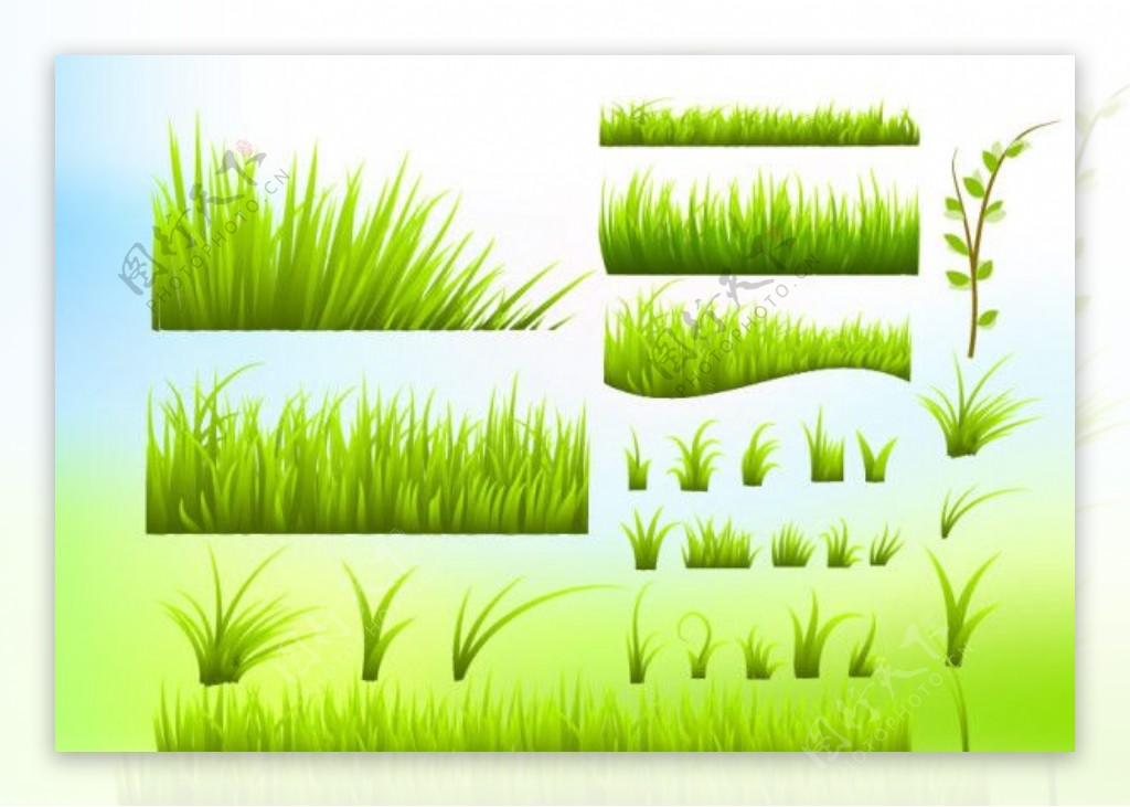 翠绿的小草矢量素材图片