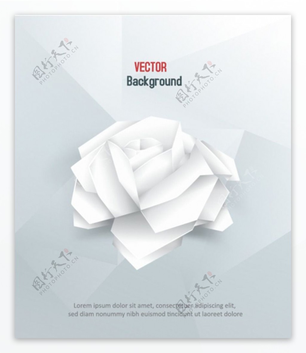白色纸玫瑰图片