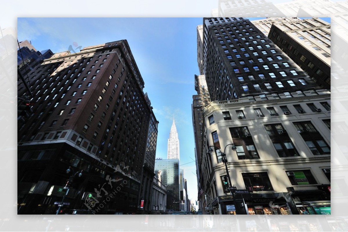 纽约曼哈顿第五大道街景图片
