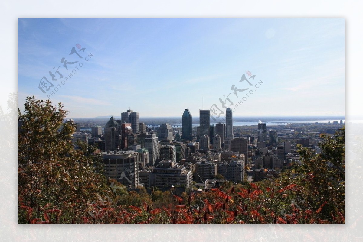 蒙特利尔从皇家山俯瞰城市美景图片